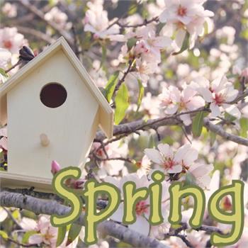 Spring (click to access)