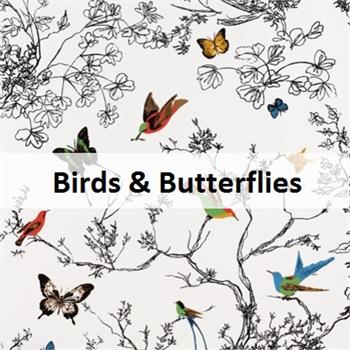 Bird, Butterflies & Pics (click to access)