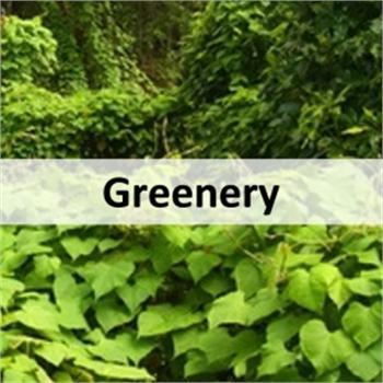 Greenery (click to access)