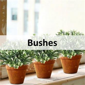 Flowering bushes and fillers (click to access)