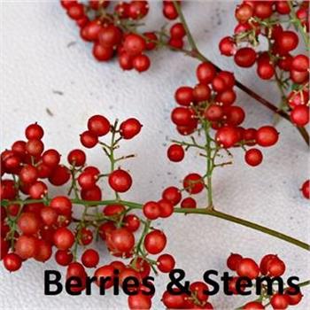 Christmas Berries & Florals (click to access)