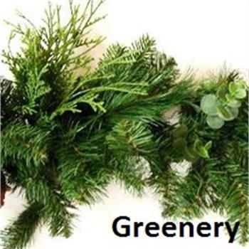 Christmas Greenery (click to access)