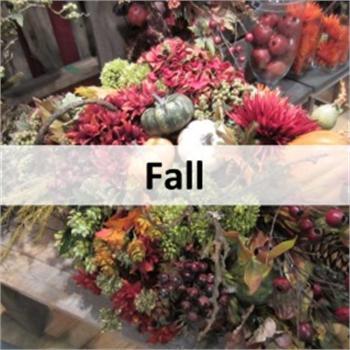 Fall (click to access)